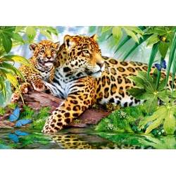 Jaguary nad basenem
